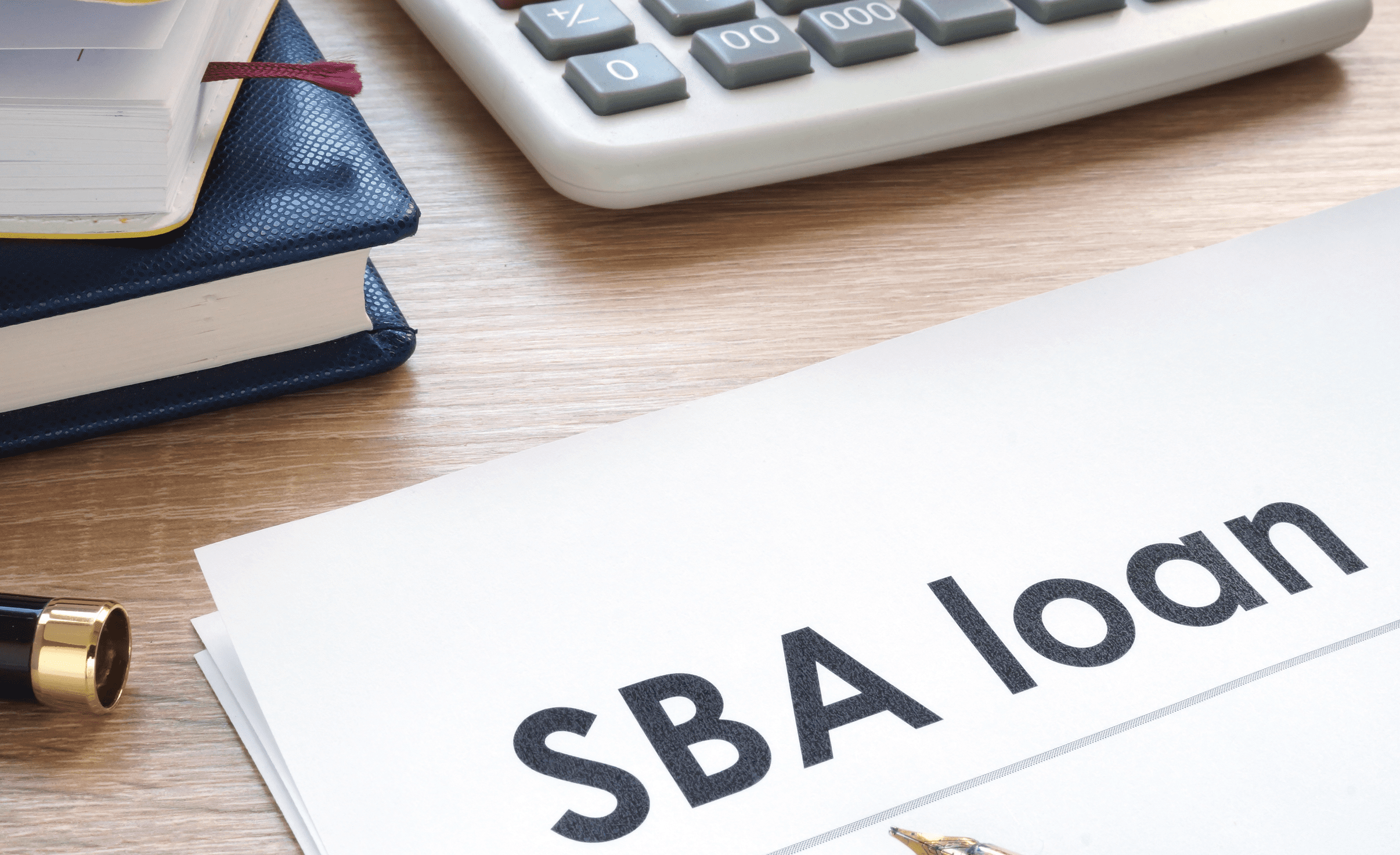 Guide to SBA-Approved Businesses for Sale 1 Screenshot 2024 03 12 at 9.09.15 PM